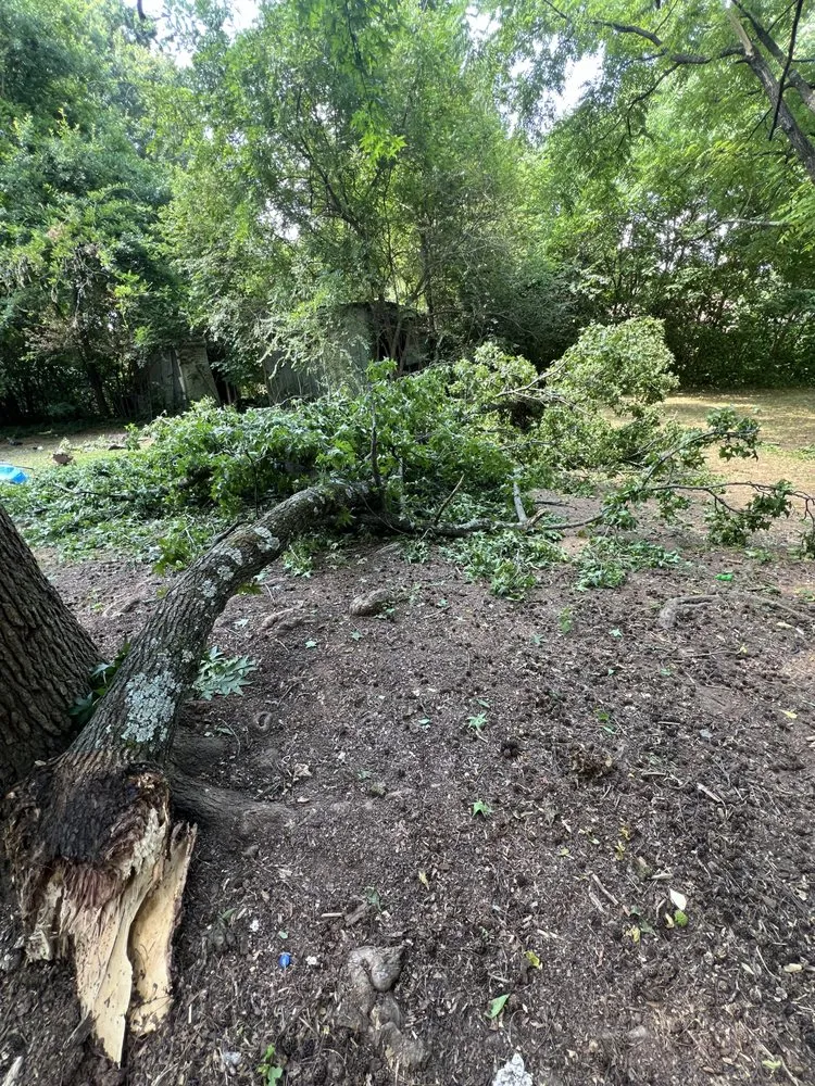 Slide of BPS Services