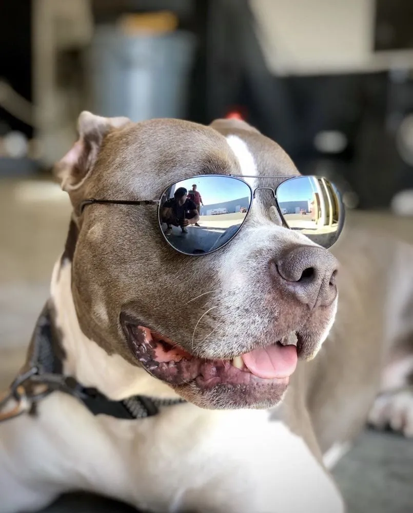 Emergency pipe repair in Santa Ana, CA by BPW Heating and Cooling