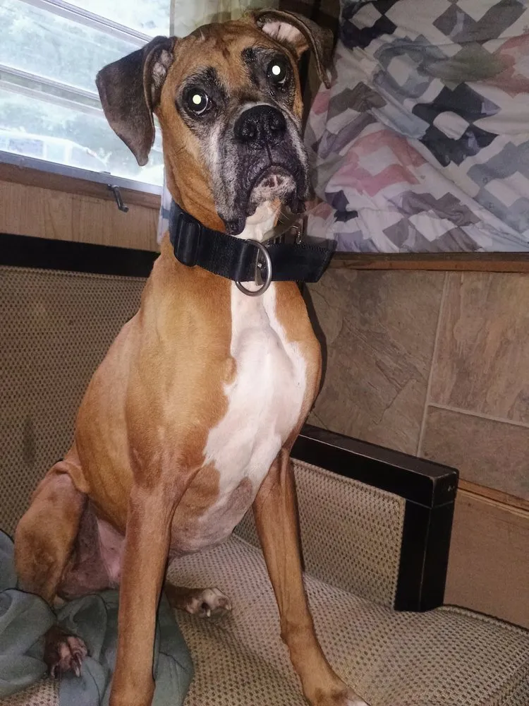 Slide of B&R Excavation And Home Repairs