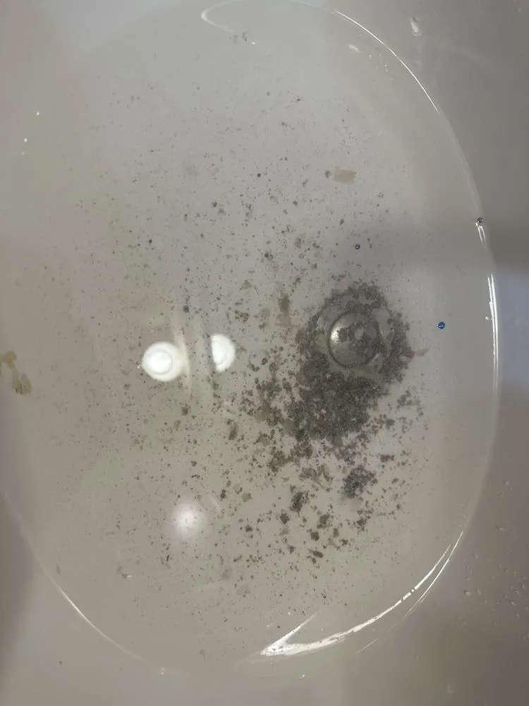 Slide of Bradbury Brothers