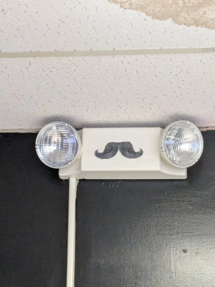 Slide of Braden Cardenas