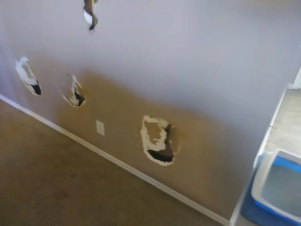 Slide of Braintank Multi-Services