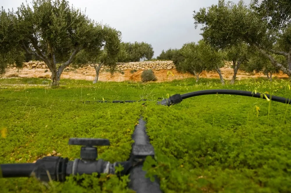 Slide of Brandon Septic