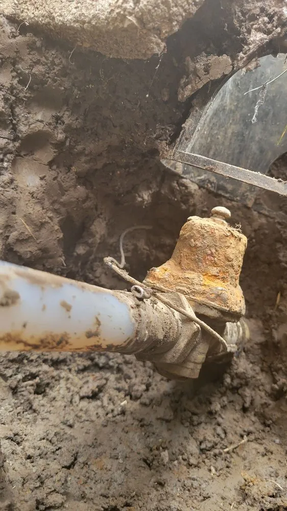 Slide of Brass Monkey Plumbing