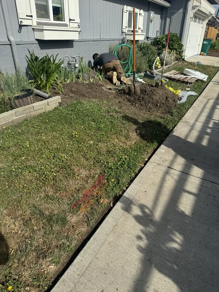 Slide of Brass Monkey Plumbing