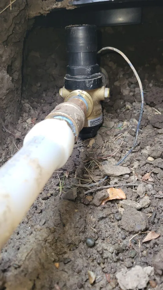 Slide of Brass Monkey Plumbing