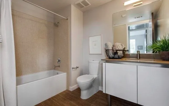 Slide of Brasso's Plumbing