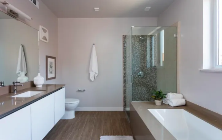 Slide of Brasso's Plumbing