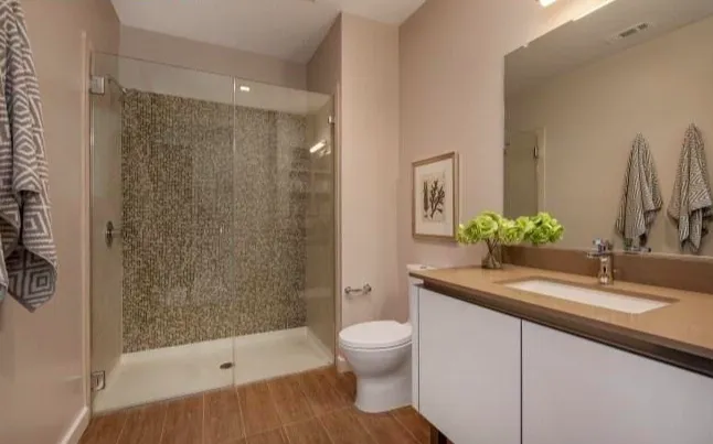 Slide of Brasso's Plumbing