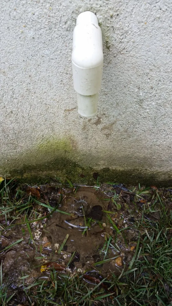 Slide of Brauers Mechanical