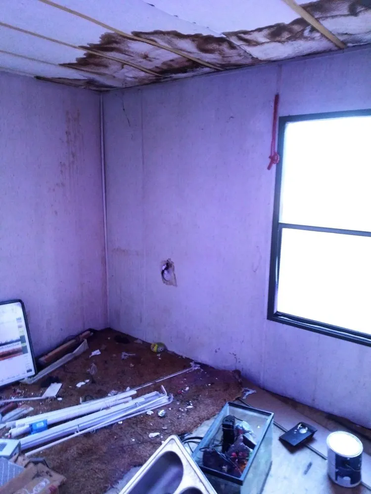 Slide of Breazeale Insight