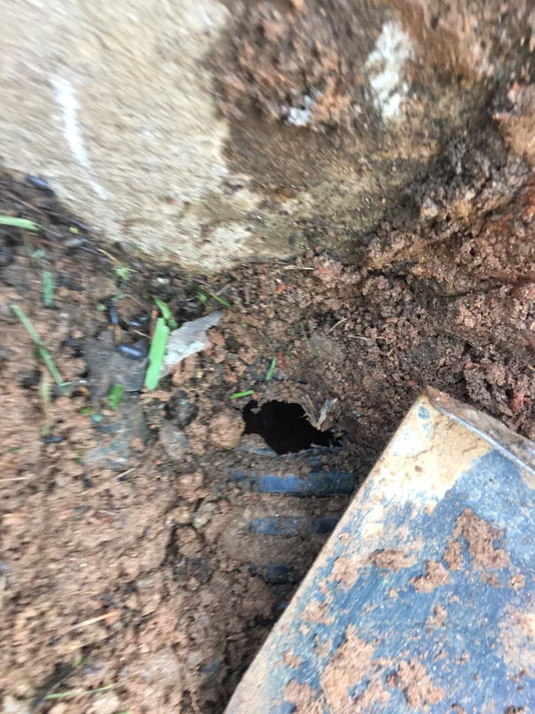 Slide of Brewers Plumbing