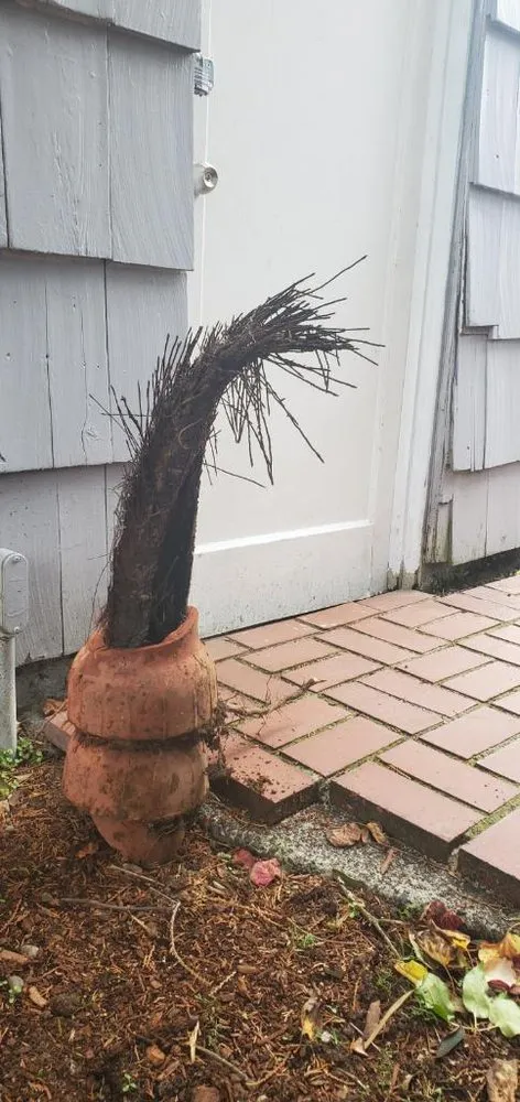 Slide of Brewer's Sewer repair