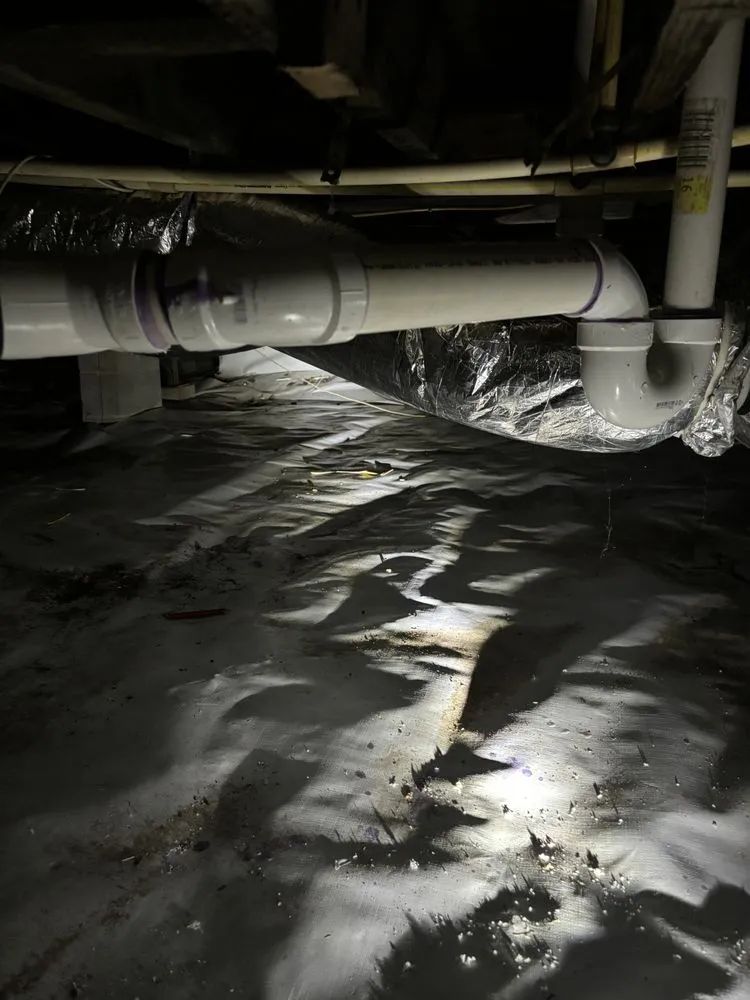 Slide of Brian Davis Drains & Plumbing