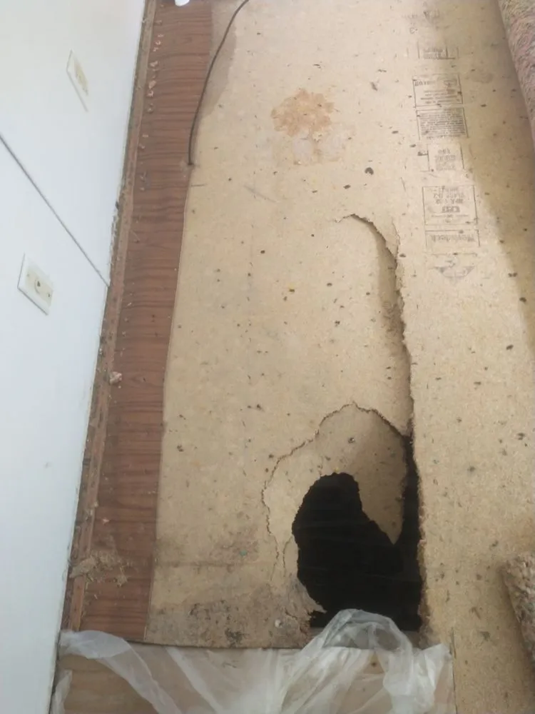 Slide of Brian Kersey