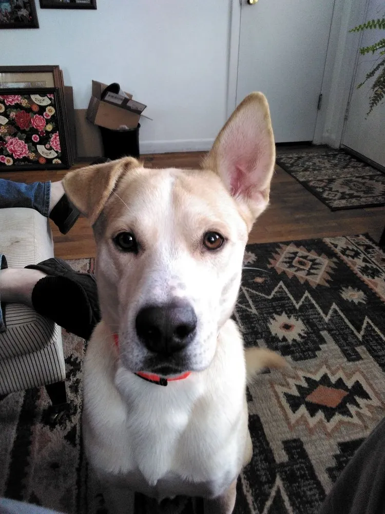 Slide of Brian O'Reilly Plumbing Services