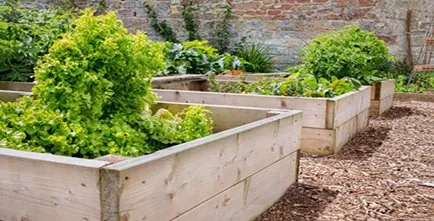 Slide of Bridge City Backflow & Irrigation