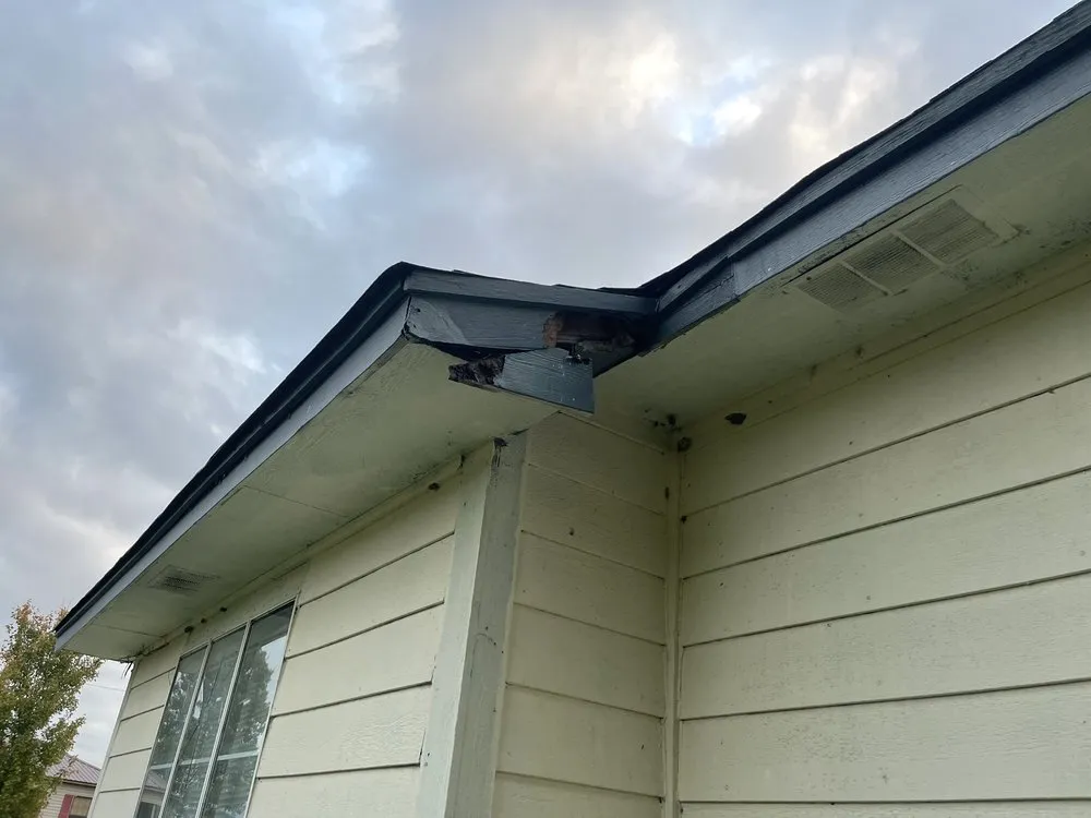 Professional water heater service experts serving Memphis, TN - Briggs Home Maintenace Services