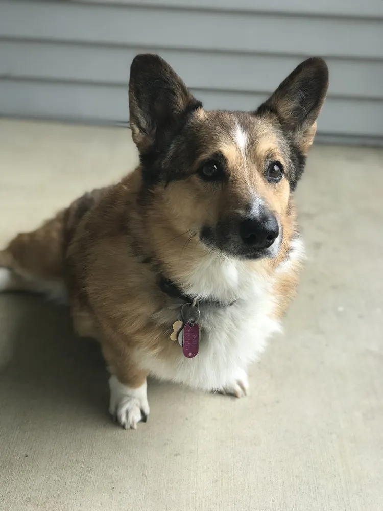 Slide of Briggs Plumbing