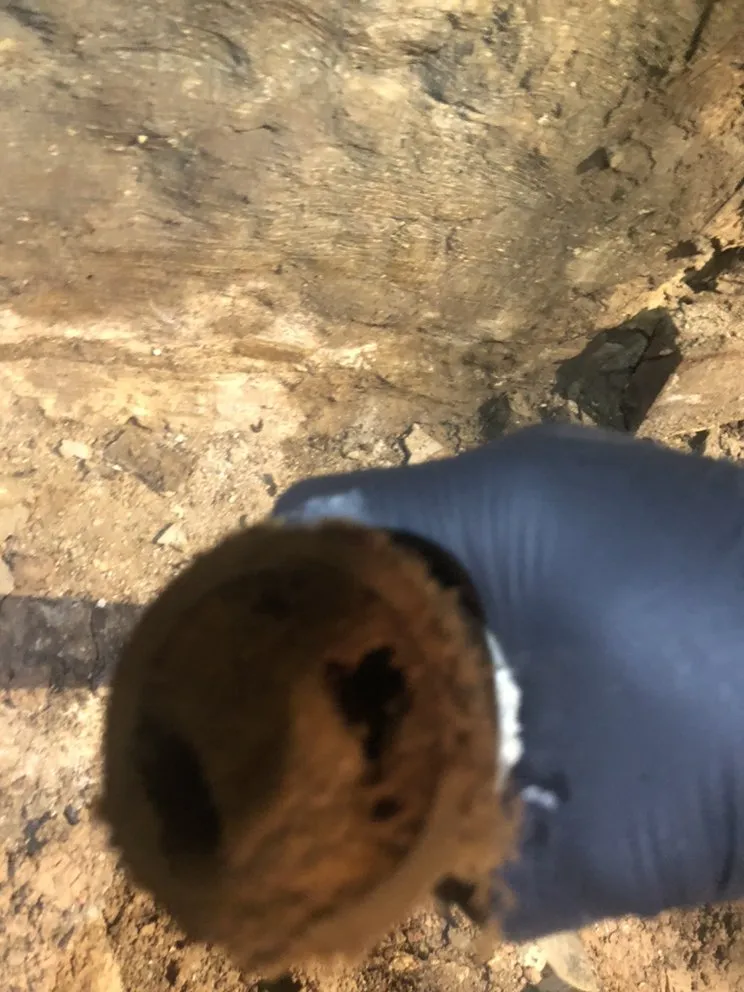 Affordable plumbing repair in Niagara Falls, NY by Bright Star Plumbing and Contracting