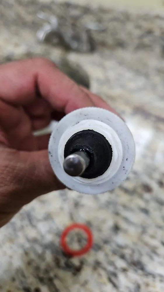 Slide of Brij's Maintenance