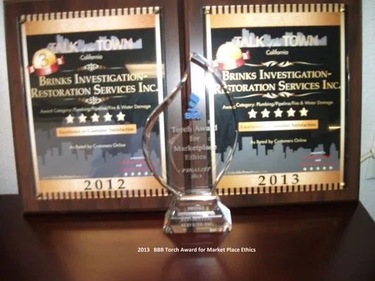 Brinks Services - Plumbing Logo