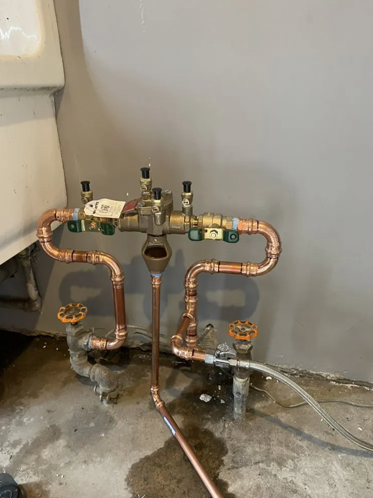 Slide of Brior's Mechanical