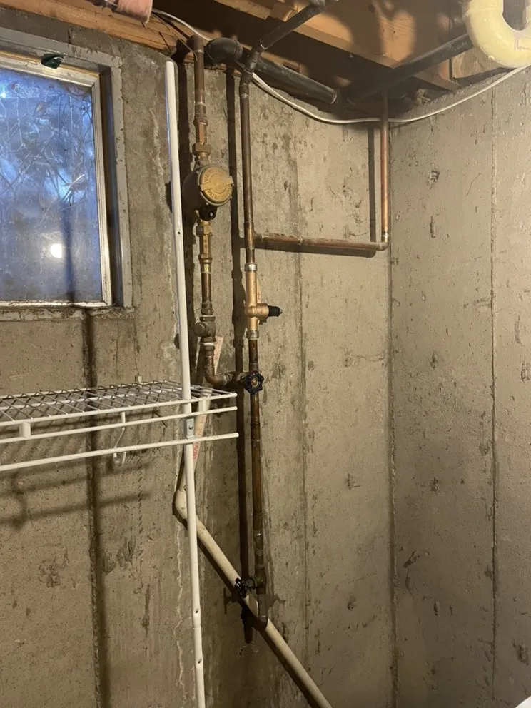 Slide of Brior's Mechanical