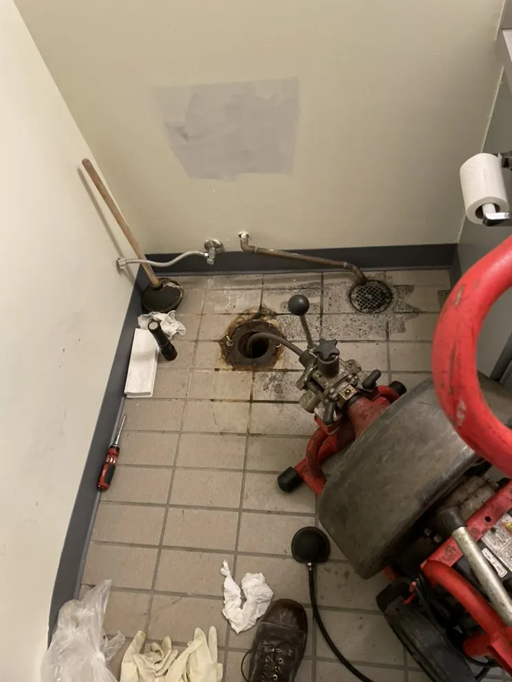 Slide of Brior's Mechanical