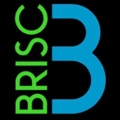 Brisc Plumbing