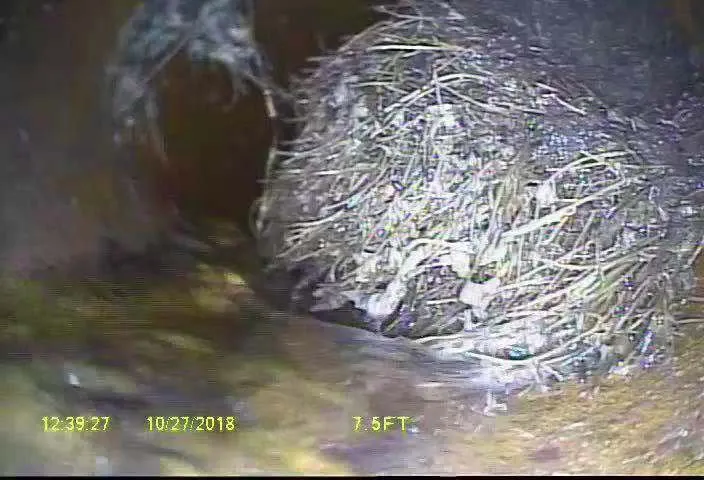 Slide of Broad Sewer And Numerous Service