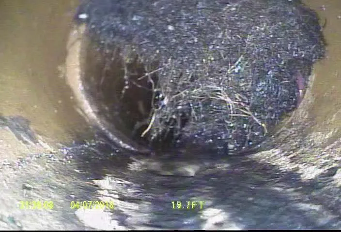 Slide of Broad Sewer And Numerous Service