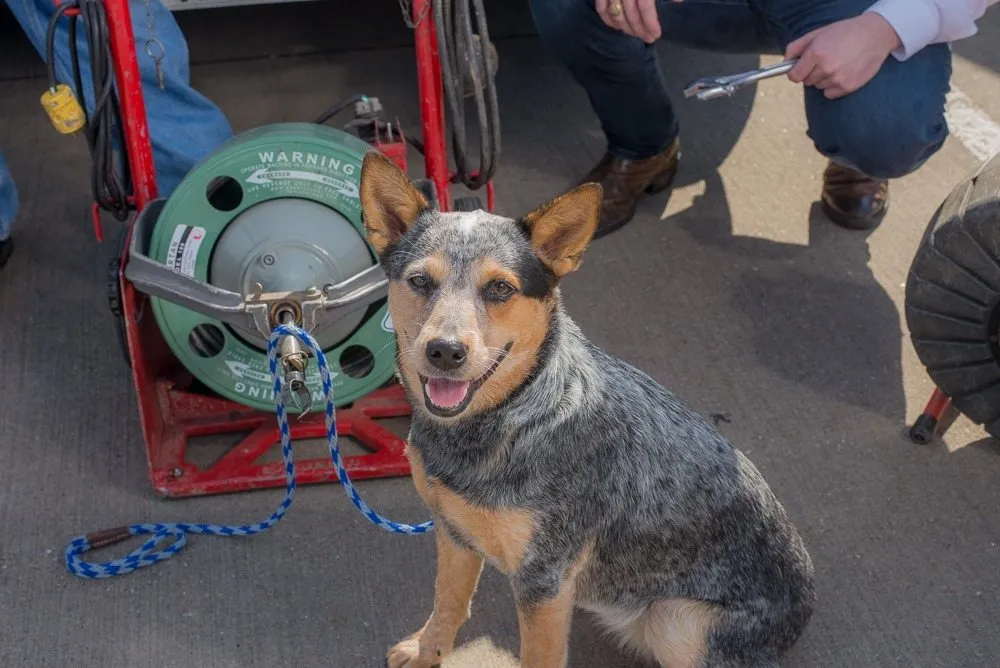 Slide of Brooks Plumbing