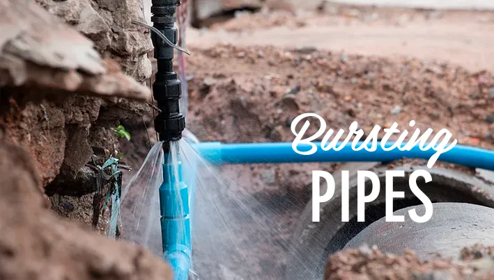 Slide of Brother Plumber