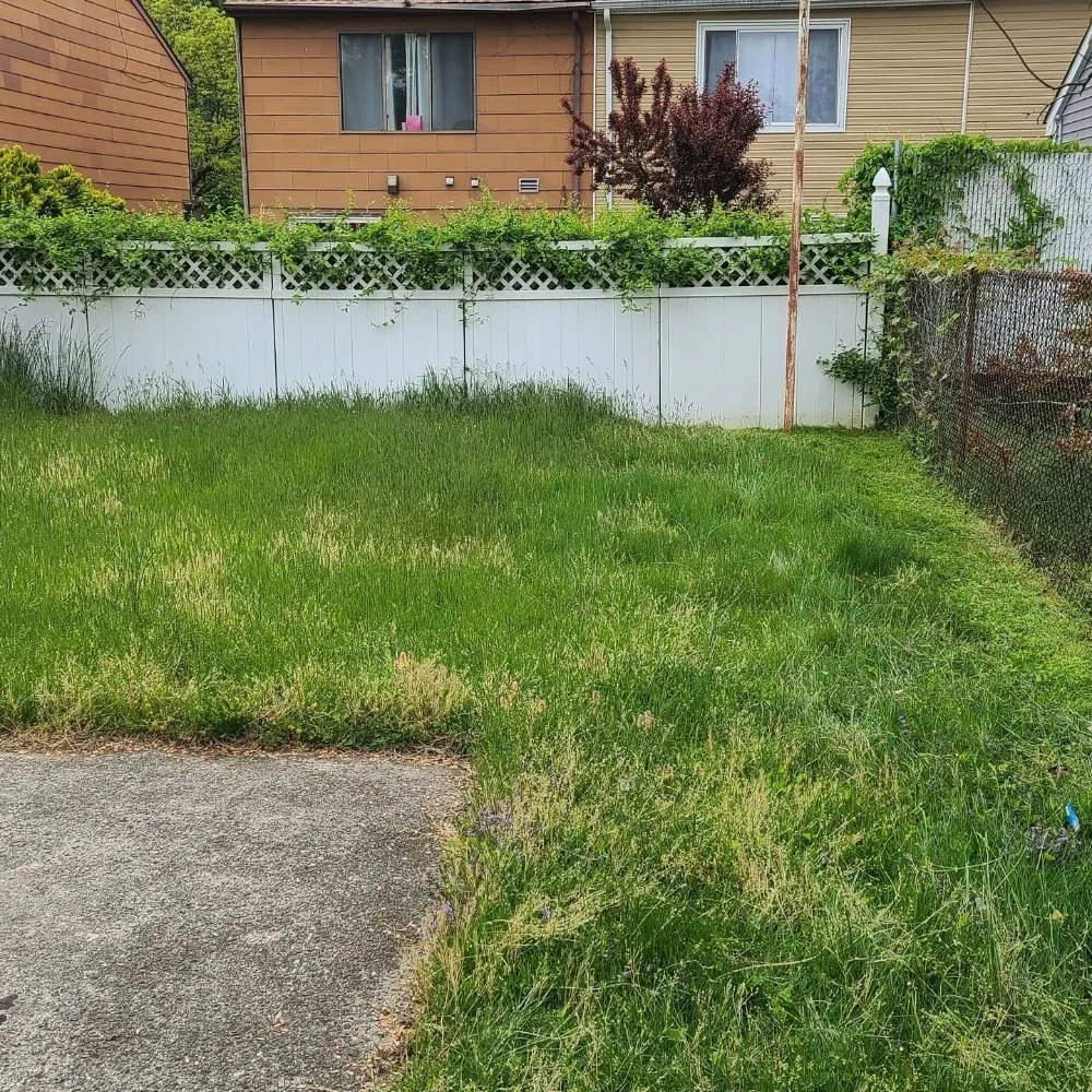 Trusted drain cleaning for homes in Staten Island, NY by Brothers & lawns landscaping and maintenance