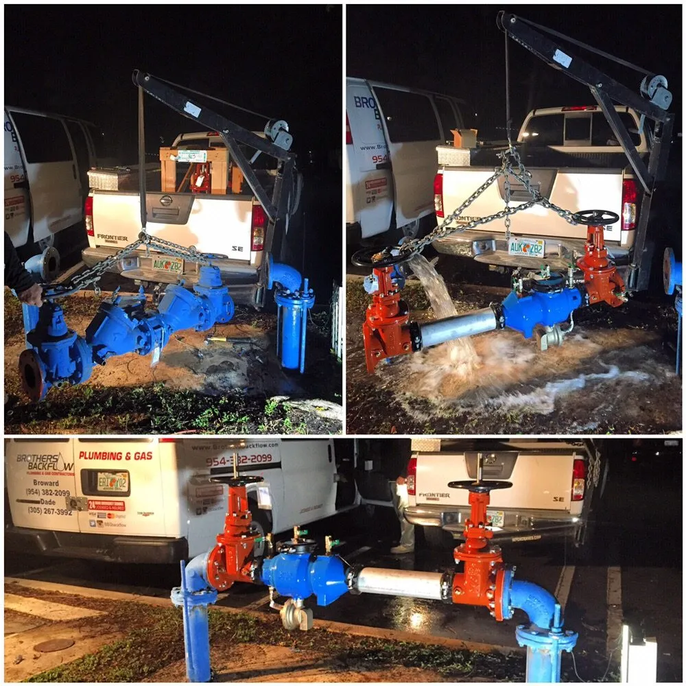 Slide of Brothers Backflow