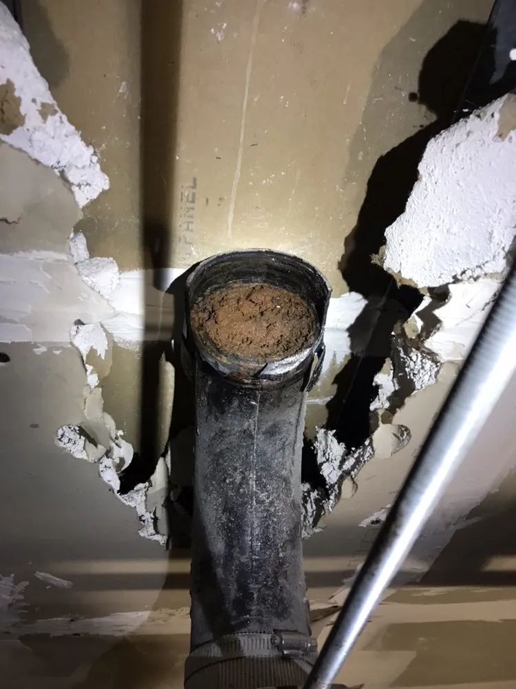 Slide of Brothers Backflow