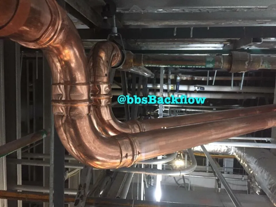 Slide of Brothers Backflow