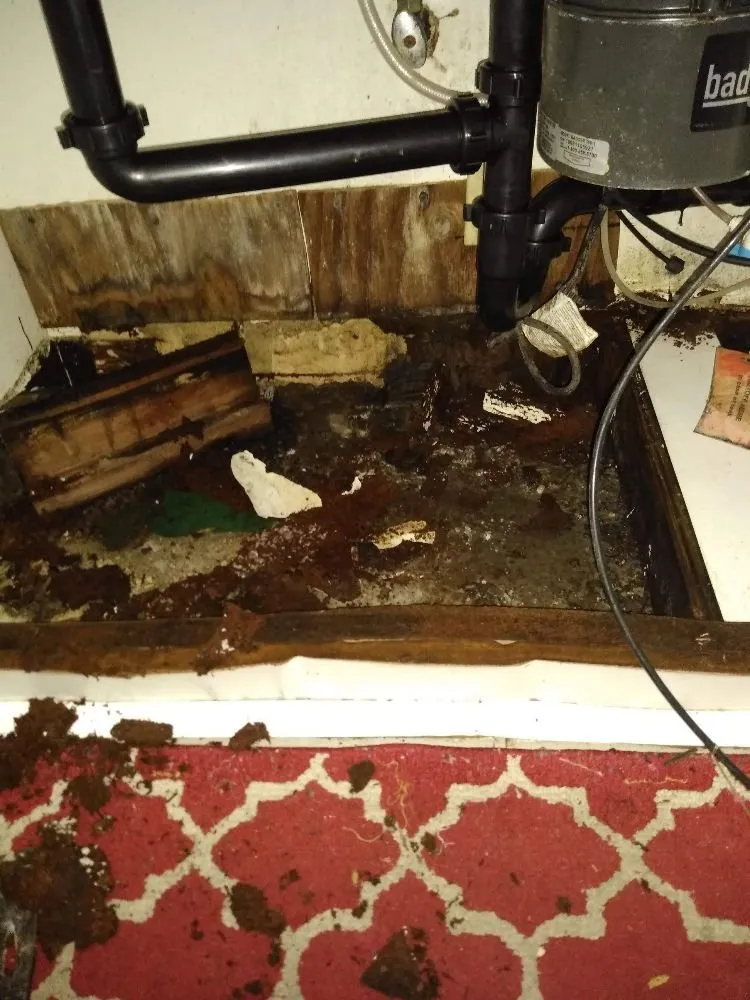 Slide of Brothers in Christ Plumbing and Handyman Service