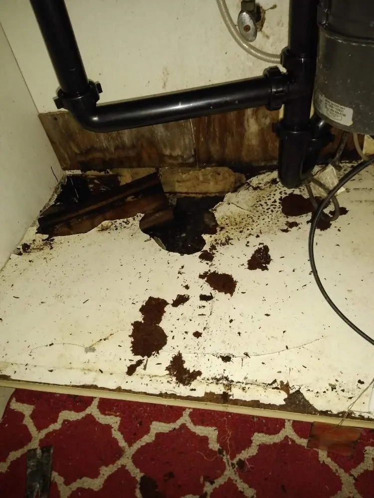 Emergency plumbing repair experts serving Norwalk, CA - Brothers in Christ Plumbing and Handyman Service