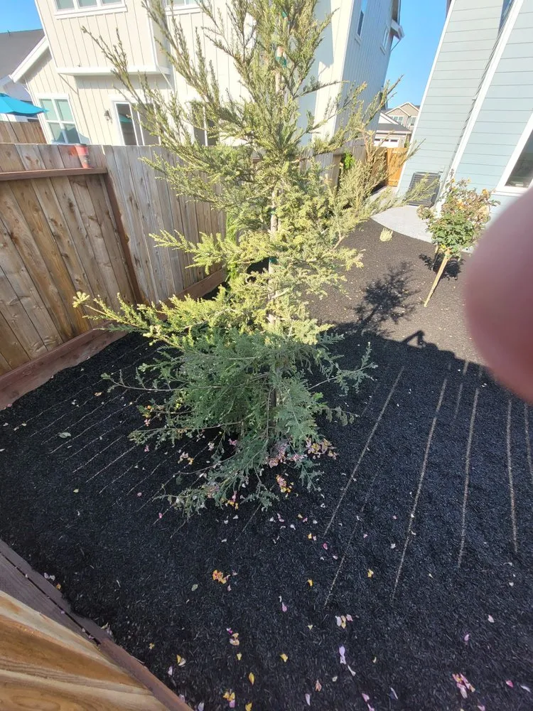 Slide of Brothers Landscaping