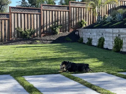 Brothers Landscaping Logo