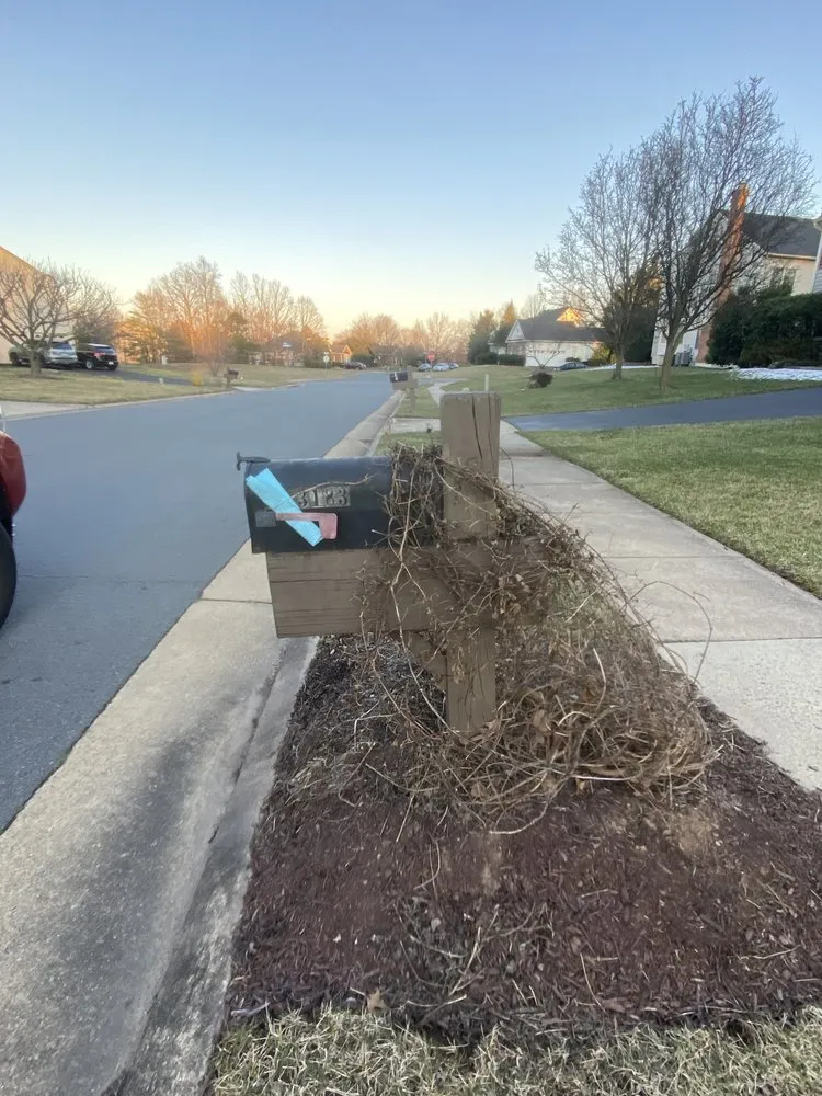 Slide of Brothers painting