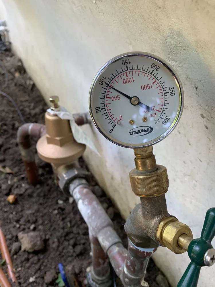 Slide of Brown Bear Plumbing