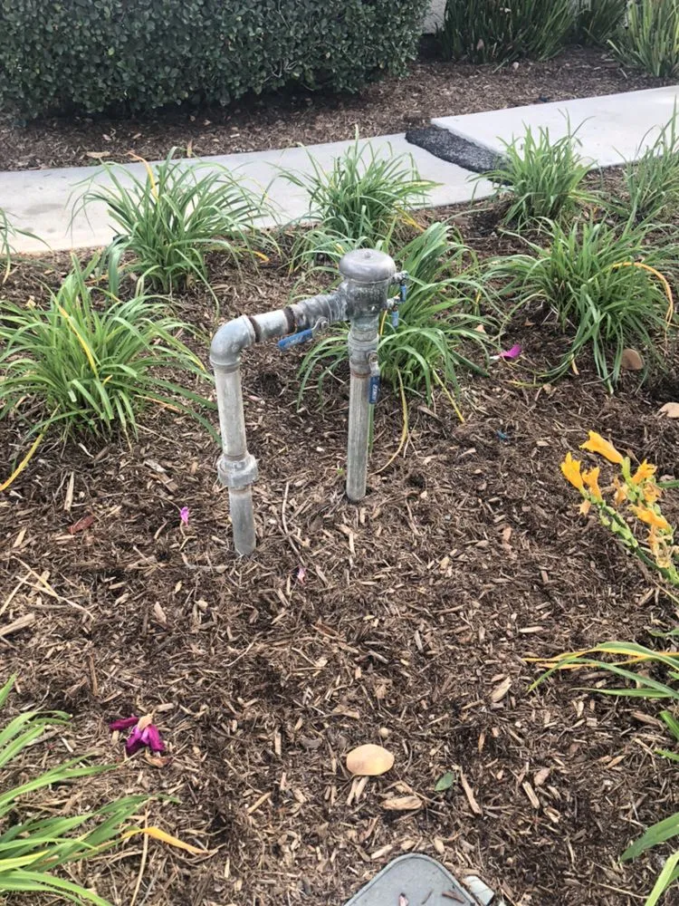 Slide of Brown Brothers Backflow Testing