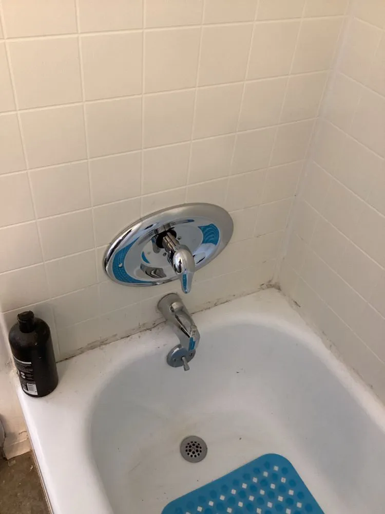 Slide of Brown Environment Service Groups