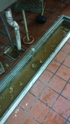 Brownie's Septic & Plumbing Logo