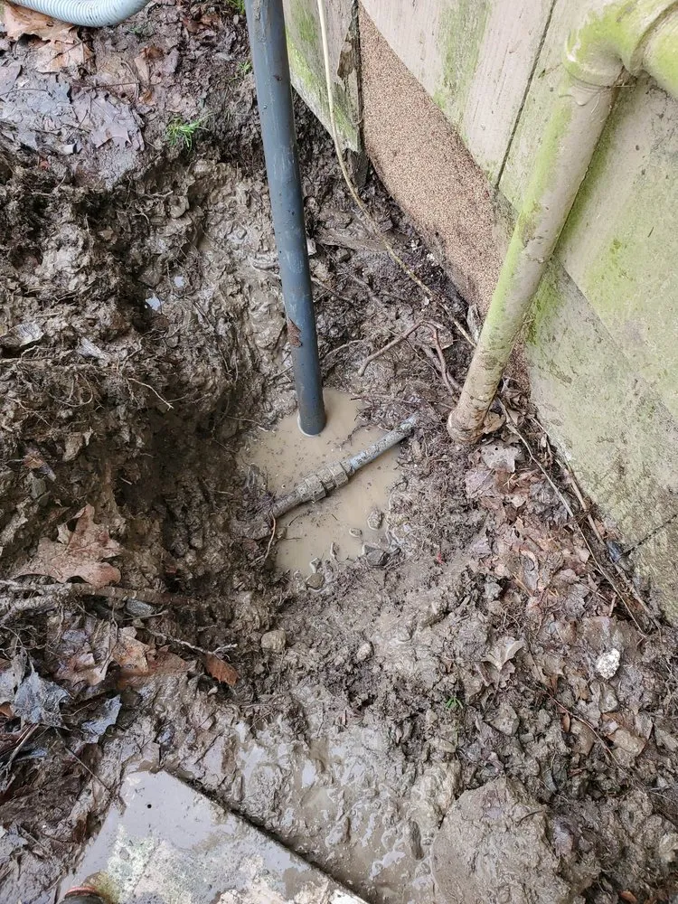 Slide of Brown's Leak Detection