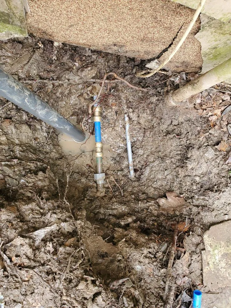 Slide of Brown's Leak Detection