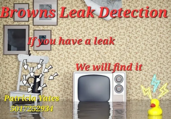 Slide of Brown's Leak Detection